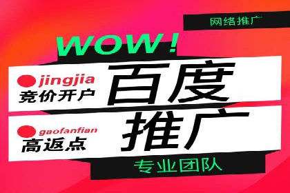 百度推广与社交媒体结合的营销策略：成功案例解读
